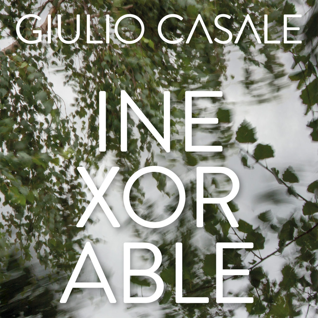 Giulio Casale – "Inexorable": la copertina realizzata da moonmusic